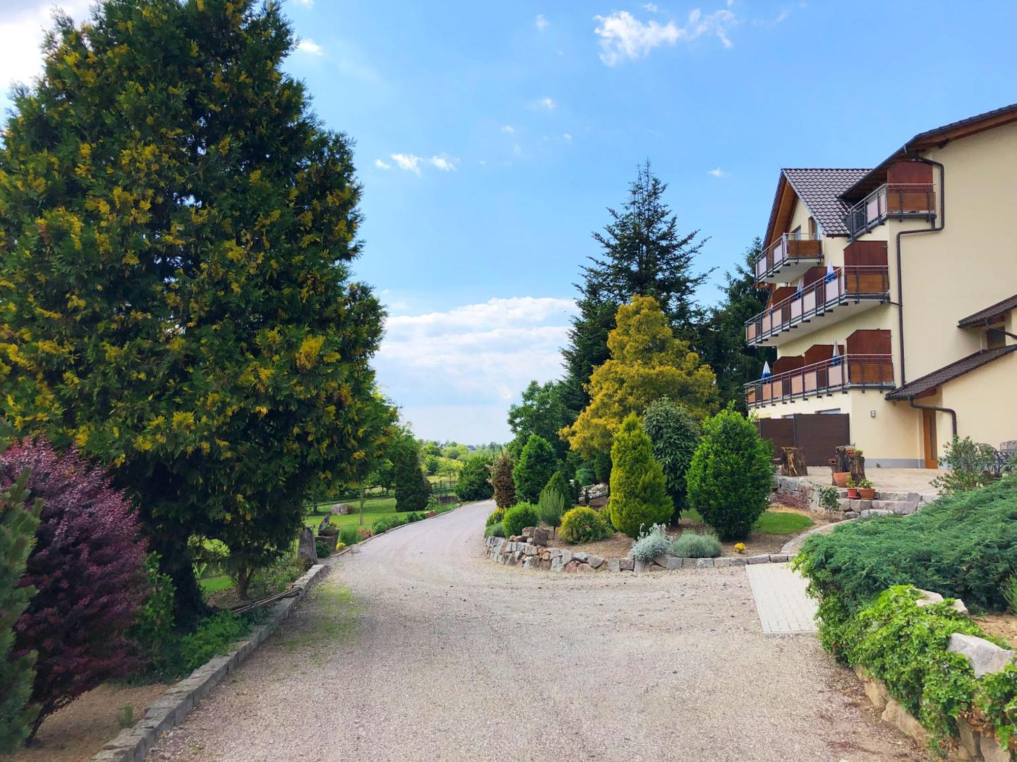 Hotel-Gasthof Rose Oberkirch  Exterior photo