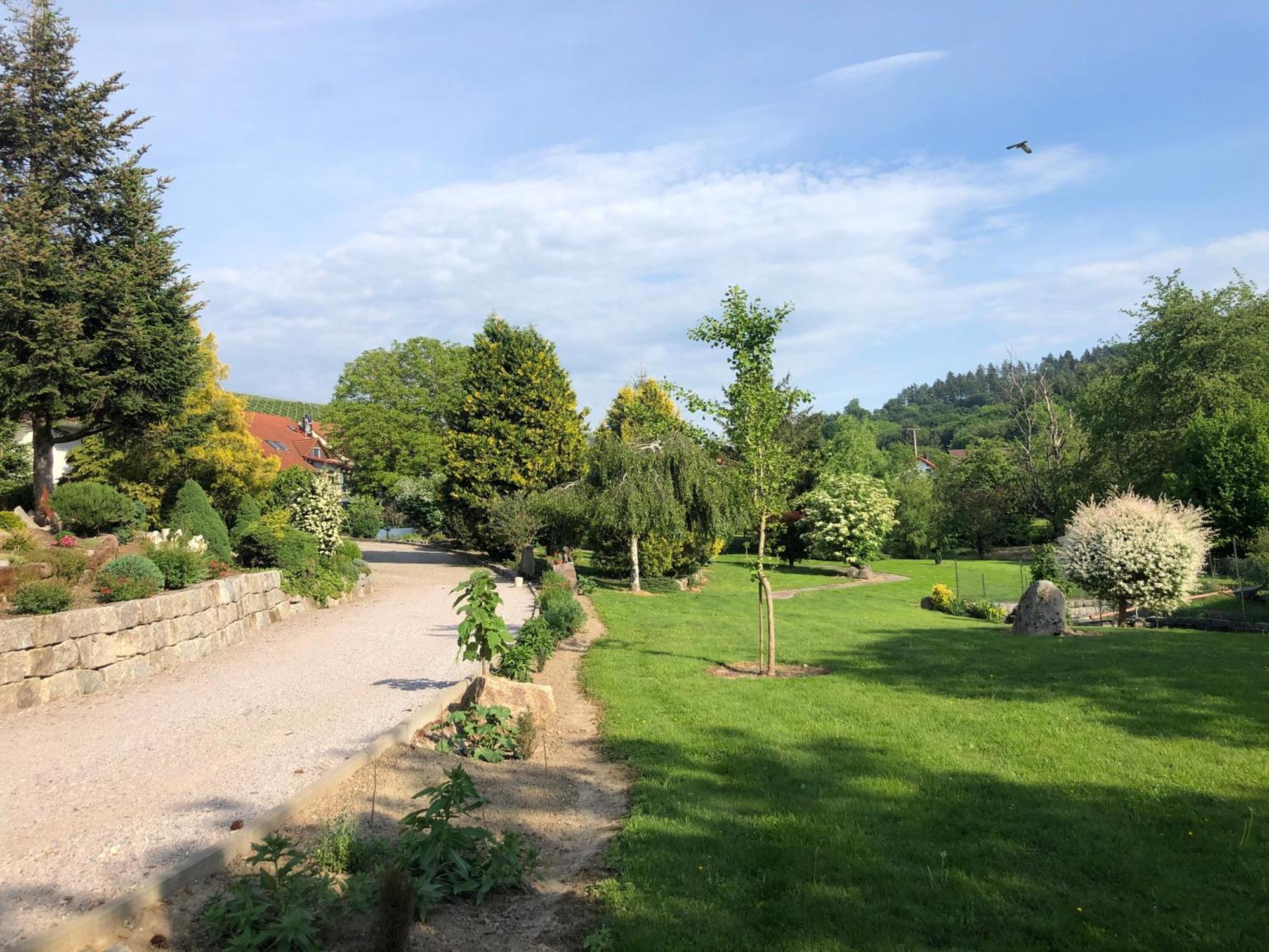 Hotel-Gasthof Rose Oberkirch  Exterior photo